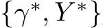  {γ∗, Y ∗}