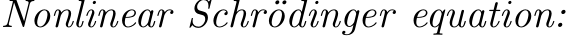  Nonlinear Schr¨odinger equation: