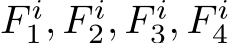  F i1, F i2, F i3, F i4