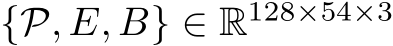 {P, E, B} ∈ R128×54×3