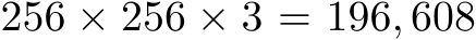  256 × 256 × 3 = 196, 608