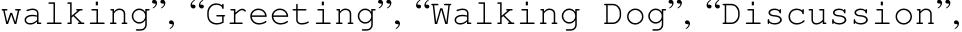 walking”, “Greeting”, “Walking Dog”, “Discussion”,