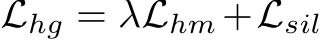  Lhg = λLhm+Lsil