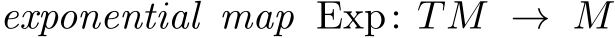  exponential map Exp: TM → M
