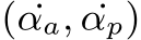  ( ˙αa, ˙αp)