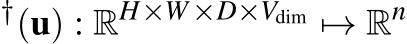 †(u) : RH×W×D×Vdim �→ Rn 