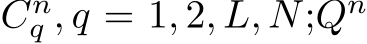  Cnq , q = 1, 2, L, N;Qn