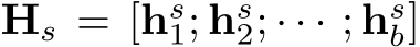  Hs = [hs1; hs2; · · · ; hsb]