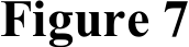 Figure 7​