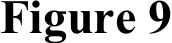 Figure 9​