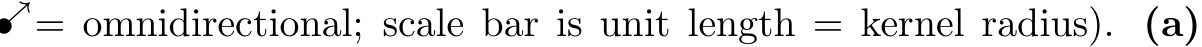 ↗= omnidirectional; scale bar is unit length = kernel radius). (a)