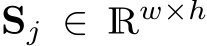  Sj ∈ Rw×h