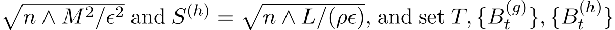 �n ∧ M2/ϵ2 and S(h) =�n ∧ L/(ρϵ), and set T, {B(g)t }, {B(h)t }