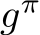  gπ