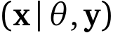 (x|θ,y)