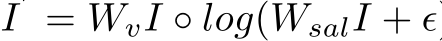 I′ = WvI ◦ log(WsalI + ϵ