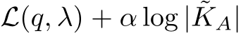  L(q, λ) + α log | ˜KA|