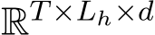 RT×Lh×d