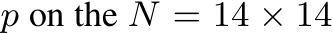  p on the N = 14 × 14