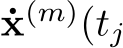  ˙x(m)(tj