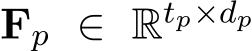  Fp ∈ Rtp×dp 
