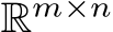  Rm×n