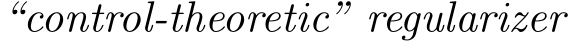  “control-theoretic” regularizer