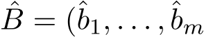 B = (ˆb1, . . . ,ˆbm