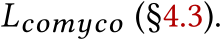  Lcomyco (§4.3).