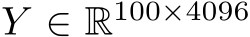  Y ∈ R100×4096