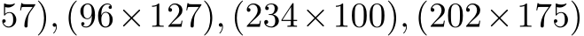 57), (96×127), (234×100), (202×175)