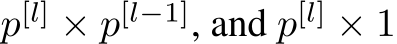  p[l] × p[l−1], and p[l] × 1