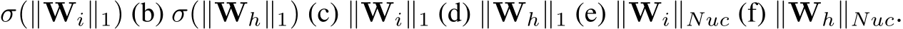  σ(∥Wi∥1) (b) σ(∥Wh∥1) (c) ∥Wi∥1 (d) ∥Wh∥1 (e) ∥Wi∥Nuc (f) ∥Wh∥Nuc.