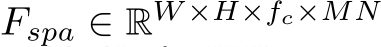  Fspa ∈ RW ×H×fc×MN