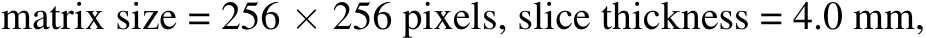 matrix size = 256 × 256 pixels, slice thickness = 4.0 mm,