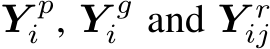  Y pi , Y gi and Y rij 