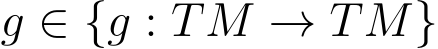 g ∈ {g : TM → TM}