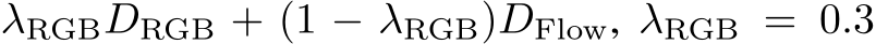 λRGB �DRGB + (1 − λRGB) �DFlow, λRGB = 0.3