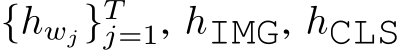 {hwj}Tj=1, hIMG, hCLS