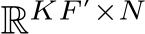  RKF ′×N
