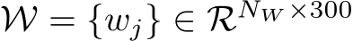  W = {wj} ∈ RNW ×300