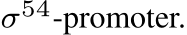  σ54-promoter.