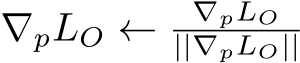 ∇pLO ← ∇pLO||∇pLO||