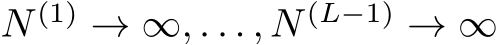  N (1) → ∞, . . . , N (L−1) → ∞