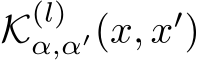  K(l)α,α′(x, x′)