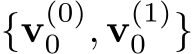  {v(0)0 , v(1)0 }