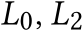  𝐿0, 𝐿2