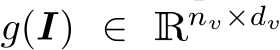  g(I) ∈ Rnv×dv