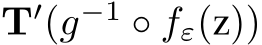  T′(g−1 ◦ fε(z))