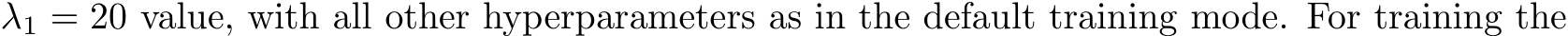  λ1 = 20 value, with all other hyperparameters as in the default training mode. For training the